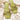 fearless lime green buckle slides top shot
